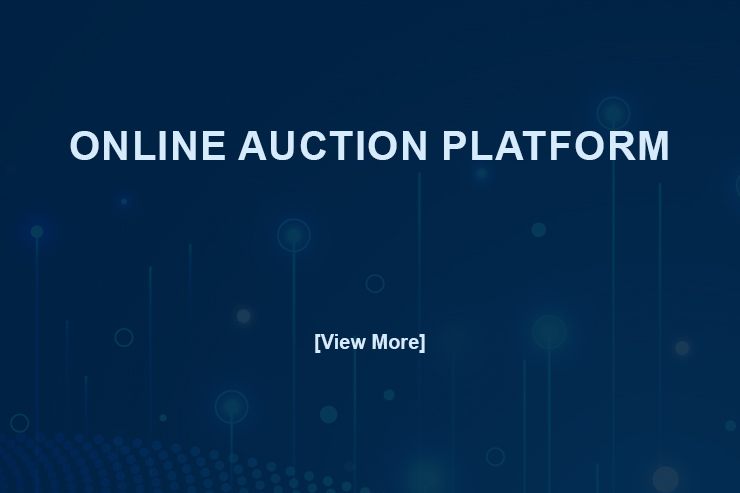 P2 Online Auction Platform